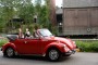 Thumbs/tn_Aircooled Bergharen 2016 058.jpg